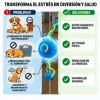 RolliePaw™ Active | Convierte La Energía En Diversión