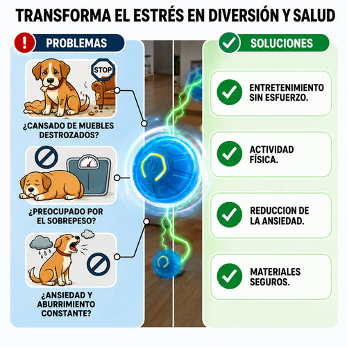 RolliePaw™ Active | Convierte La Energía En Diversión
