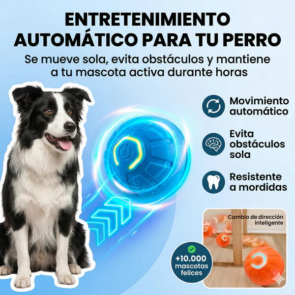 RolliePaw™ Active | Convierte La Energía En Diversión