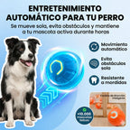 RolliePaw™ Active | Convierte La Energía En Diversión