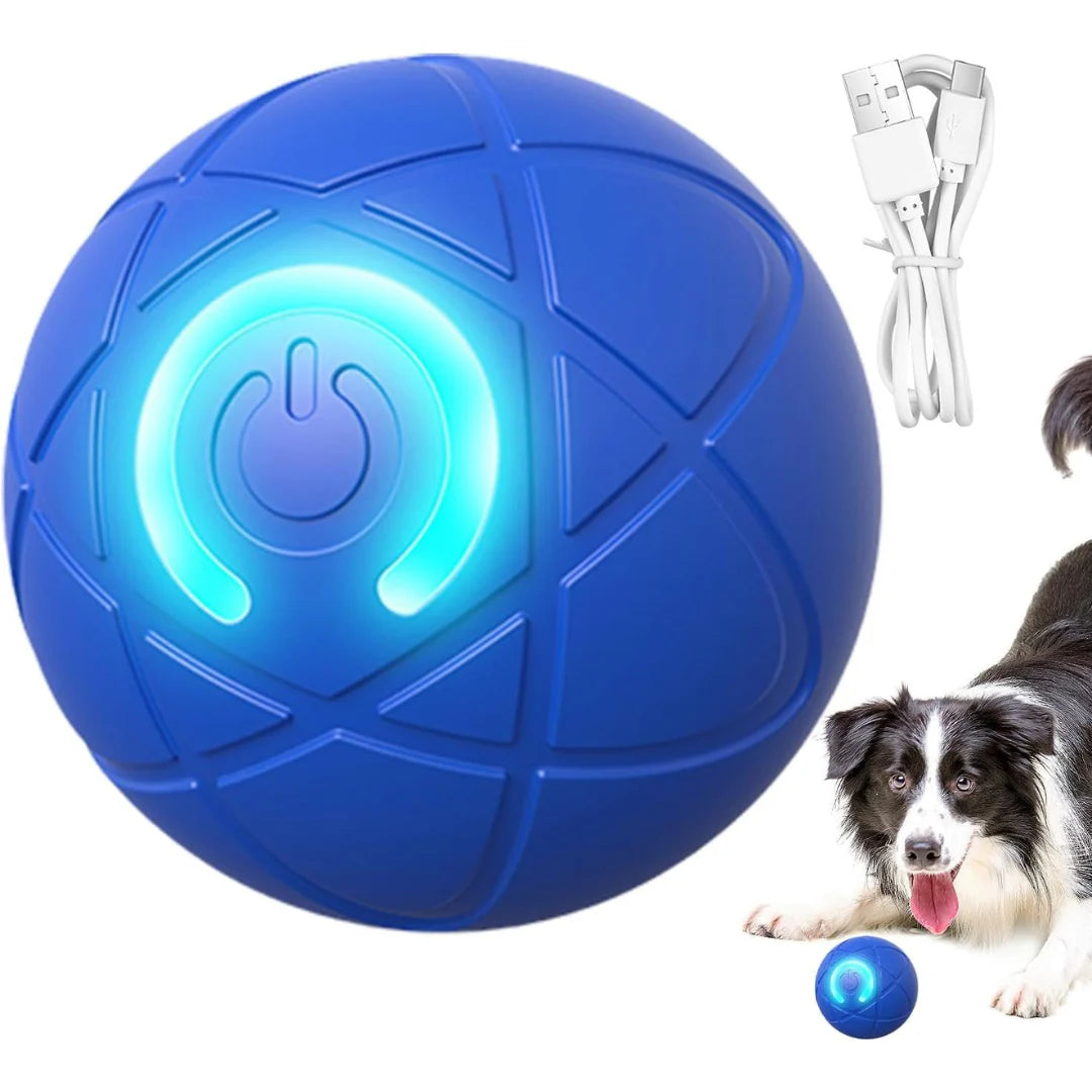 RolliePaw™ Active | Convierte La Energía En Diversión